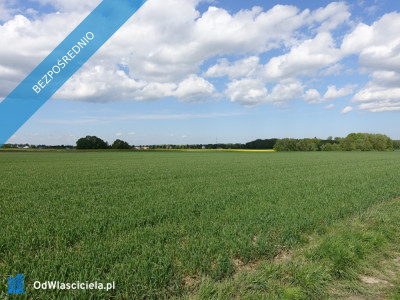Skoczów Pruchna 115ha pod zabudowe jednorodzinną stadnine koni  -    -
śląskie