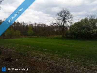 Działka granicząca ze strumieniem i lasem 3900m2 okolice Włocławka -    -
kujawsko-pomorskie Zdjęcie nr 2