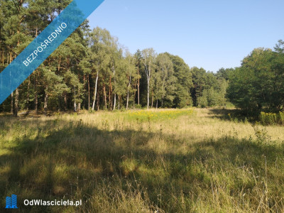 Działka granicząca ze strumieniem i lasem 3900m2 okolice Włocławka -    -
kujawsko-pomorskie Zdjęcie nr 3