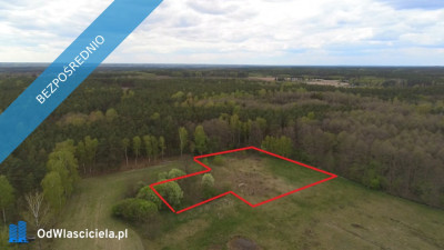 Działka granicząca ze strumieniem i lasem 3900m2 okolice Włocławka -    -
kujawsko-pomorskie Zdjęcie nr 5