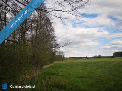 Działka granicząca ze strumieniem i lasem 3900m2 okolice Włocławka -    -
kujawsko-pomorskie Zdjęcie nr 8