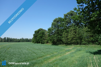 Skoczów Ochaby 62 ar pod lasem nadaje sie pod altanke domek  -    -
śląskie