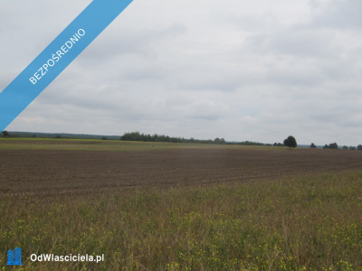 Działka budowlana  -    -
łódzkie Zdjęcie nr 2