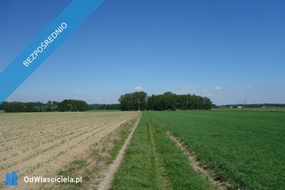 Skoczów Pruchna 115ha pod stadnine zabudowe lux lokalizacja -    -
śląskie Zdjęcie nr 10