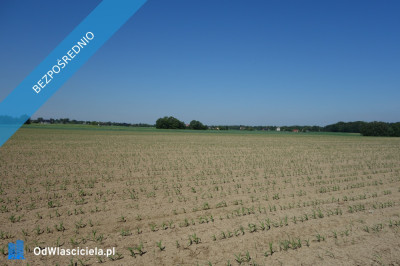 Skoczów Pruchna 115ha pod stadnine zabudowe lux lokalizacja -    -
śląskie Zdjęcie nr 7