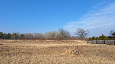 Sprzedam działkę w okolicy lasu i rzeki -    -
mazowieckie Zdjęcie nr 6