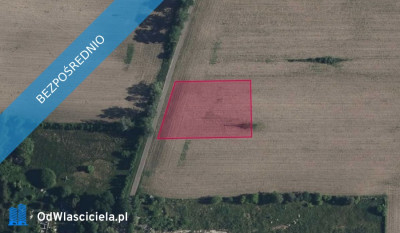 Działka 461 w Woli Błędowskiej -    -
mazowieckie Zdjęcie nr 2