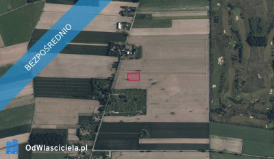 Działka 462 w Woli Błędowskiej -    -
mazowieckie