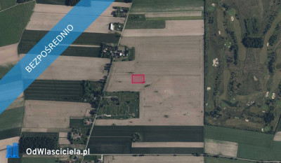 Działka 463 w Woli Błędowskiej -    -
mazowieckie