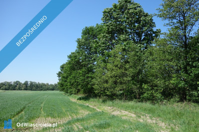 Skoczów Ochaby 62ar rolna pod lasem pod rekreacje altanke -    -
śląskie