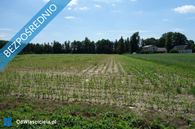 Skoczów Ochaby 32ha z częścią budowlaną i pod usługi  -    -
śląskie