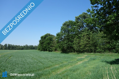 Skoczów Ochaby 62ar pod lasem pod rekreacje altanke domek  -    -
śląskie