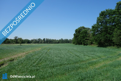Skoczów Ochaby 62ar pod lasem pod rekreacje altanke domek  -    -
śląskie Zdjęcie nr 2