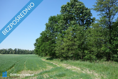 Skoczów Ochaby 62ar pod lasem pod rekreacje altanke domek  -    -
śląskie Zdjęcie nr 3