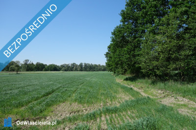 Skoczów Ochaby 62ar pod lasem pod rekreacje altanke domek  -    -
śląskie Zdjęcie nr 4