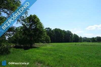 Skoczów Ochaby 62ar pod lasem pod rekreacje altanke domek  -    -
śląskie Zdjęcie nr 6