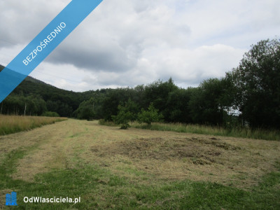 syndyk sprzeda udziały w działkach w Porąbce -    -
śląskie