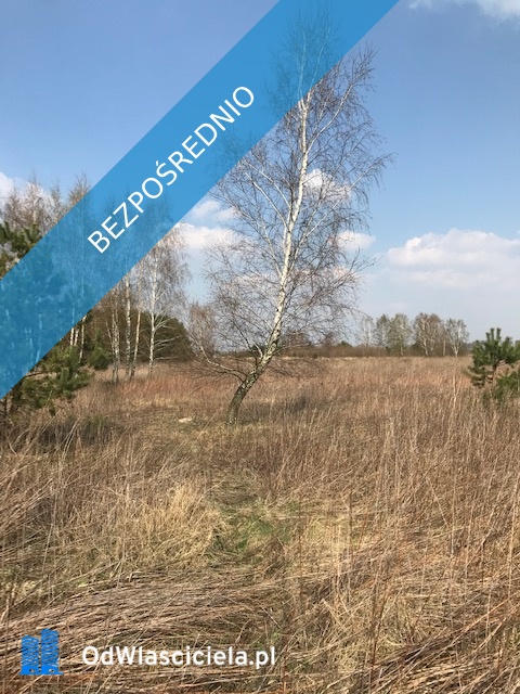 Działka Budowlana Lesznowola wieś Stachowo -    -
mazowieckie Zdjęcie nr 1