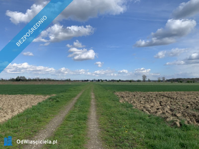 DZIAŁKA - SPRZEDAM - ŁUKAWIEC RZESZÓW - PRYWATNIE -    -
podkarpackie Zdjęcie nr 3