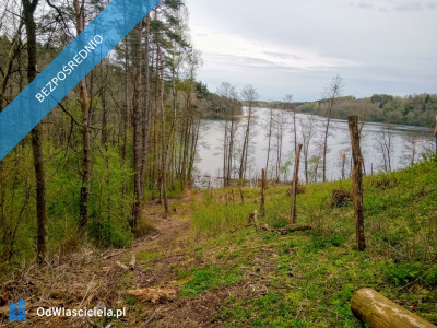 Mazury Stare Juchy działki 3000m2 w okolicach jeziora Garbas położone przy lesie -    -
warmińsko-mazurskie Zdjęcie nr 6