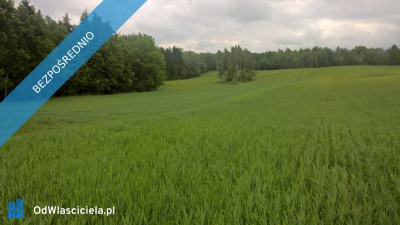 Mazury Stare Juchy działki 3000m2 w okolicach jeziora Garbas położone przy lesie -    -
warmińsko-mazurskie Zdjęcie nr 8