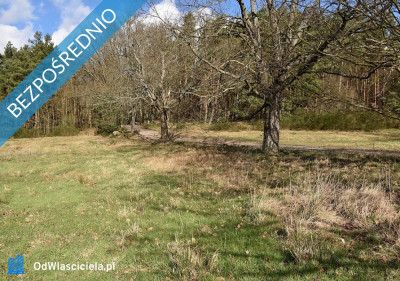 Sprzedam działki budowlane nad morzem w m Bukowa pow Smołdzino -    -
pomorskie Zdjęcie nr 10