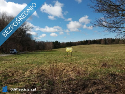Sprzedam działki budowlane nad morzem w m Bukowa pow Smołdzino -    -
pomorskie Zdjęcie nr 11