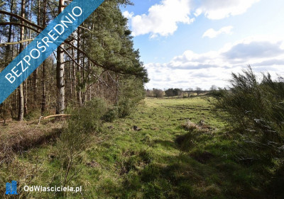 Sprzedam działki budowlane nad morzem w m Bukowa pow Smołdzino -    -
pomorskie Zdjęcie nr 12