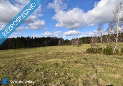 Sprzedam działki budowlane nad morzem w m Bukowa pow Smołdzino -    -
pomorskie Zdjęcie nr 6