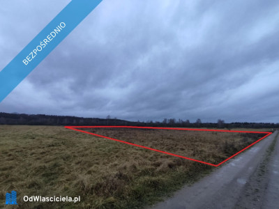 Działka rolna siedliskowa budowlana Plecemin 401 -    -
wielkopolskie Zdjęcie nr 2