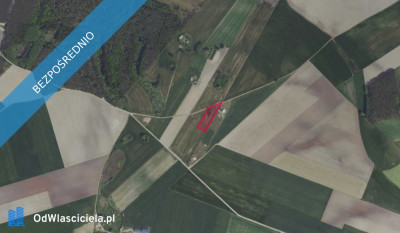 Działka w Pierzyskach Baranowie -    -
wielkopolskie