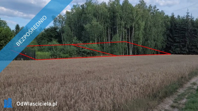 Działka Krze Duże 1100 m2 - w MPZP na cele zabudowy mieszkaniowej -    -
mazowieckie Zdjęcie nr 8
