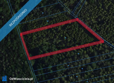 Działka 5200 m2 zalesiona oznaczenie użytku RVI -    -
łódzkie Zdjęcie nr 8