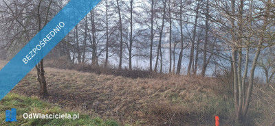 Działka nad jezioremMargoninPlażaNarty wodne  -    -
wielkopolskie Zdjęcie nr 9