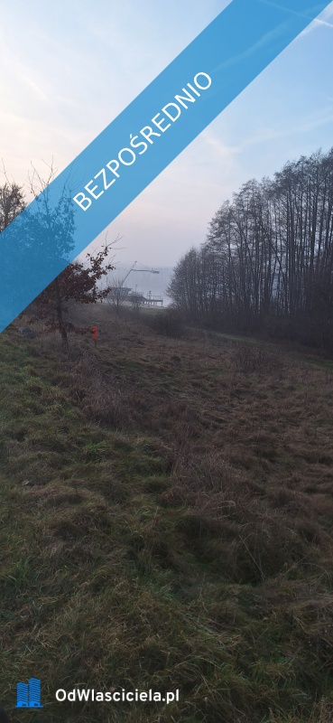 Działka nad jezioremMargoninPlażaNarty wodne  -    -
wielkopolskie Zdjęcie nr 4