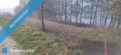 Działka nad jezioremMargoninPlażaNarty wodne  -    -
wielkopolskie Zdjęcie nr 5