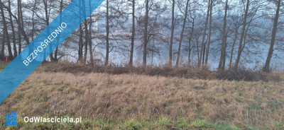 Działka nad jezioremMargoninPlażaNarty wodne  -    -
wielkopolskie Zdjęcie nr 8