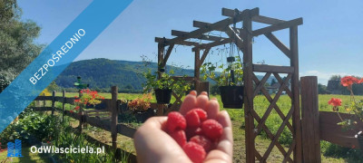 Odsprzedam prawo do dzierżawy  -    -
małopolskie
