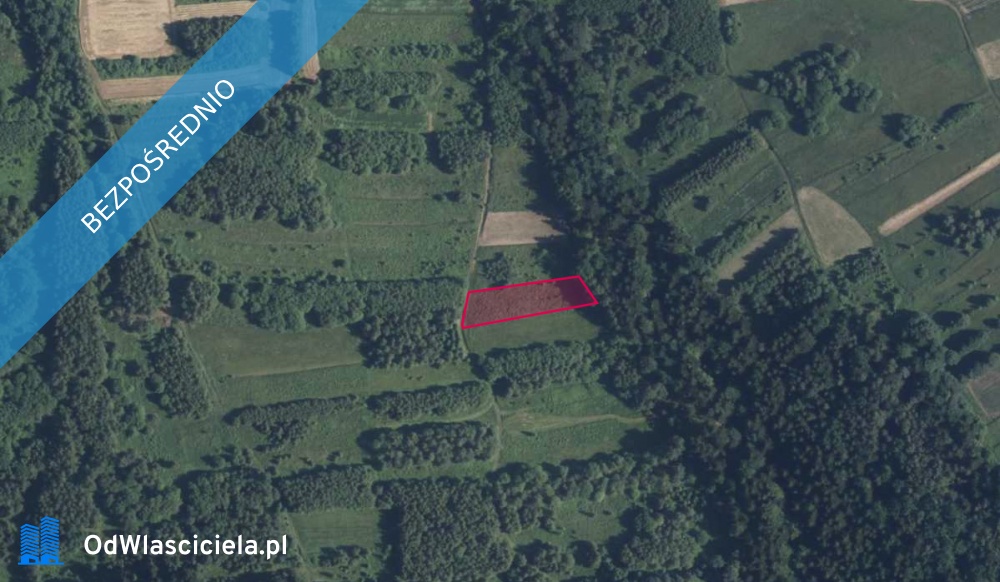 Działka 488633 w Bieńkówce -    -
małopolskie Zdjęcie nr 1