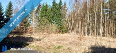Działka budowlana 1607m2 częściowo ogrodzona z drzewkami przy lesie Kodrąbek  -    -
zachodniopomorskie