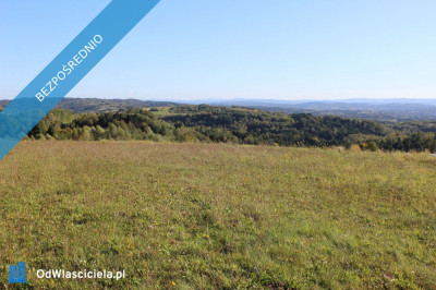 Działka budowlana przy drodze z widokiem na Bieszczady -    -
podkarpackie Zdjęcie nr 6