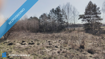 Sprzedam działki w Pruścach nad jeziorem razem lub osobno -    -
wielkopolskie