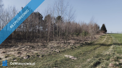 Sprzedam działki w Pruścach nad jeziorem razem lub osobno -    -
wielkopolskie Zdjęcie nr 2