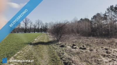Sprzedam działki w Pruścach nad jeziorem razem lub osobno -    -
wielkopolskie Zdjęcie nr 3