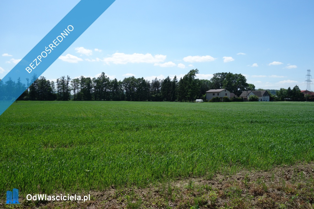 Skoczów Ochaby 162ha z prawem zabudowy pod stadnine agroturystyke -    -
śląskie Zdjęcie nr 1