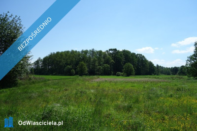 skoczów ochaby 57ar pod lasem widokowa pod rekreacje  -    -
śląskie Zdjęcie nr 5