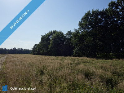 Skoczów Ochaby 57ar pod lasem widokowa pod rekreacje  -    -
śląskie Zdjęcie nr 10