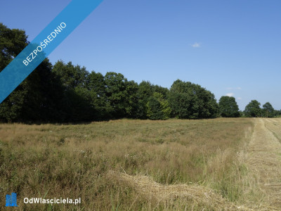 Skoczów Ochaby 57ar pod lasem widokowa pod rekreacje  -    -
śląskie Zdjęcie nr 2