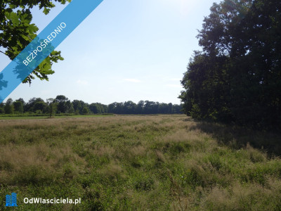 Skoczów Ochaby 57ar pod lasem widokowa pod rekreacje  -    -
śląskie Zdjęcie nr 4