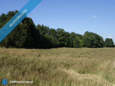 Skoczów Ochaby 57ar pod lasem widokowa pod rekreacje  -    -
śląskie Zdjęcie nr 5